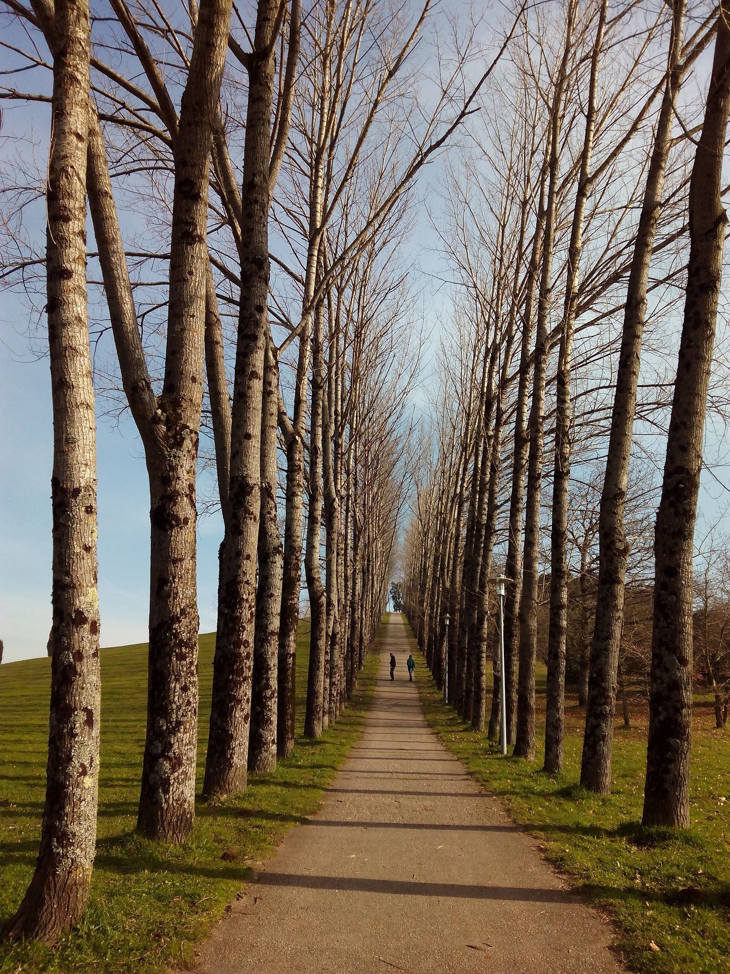 Qué Camino de Santiago elegir