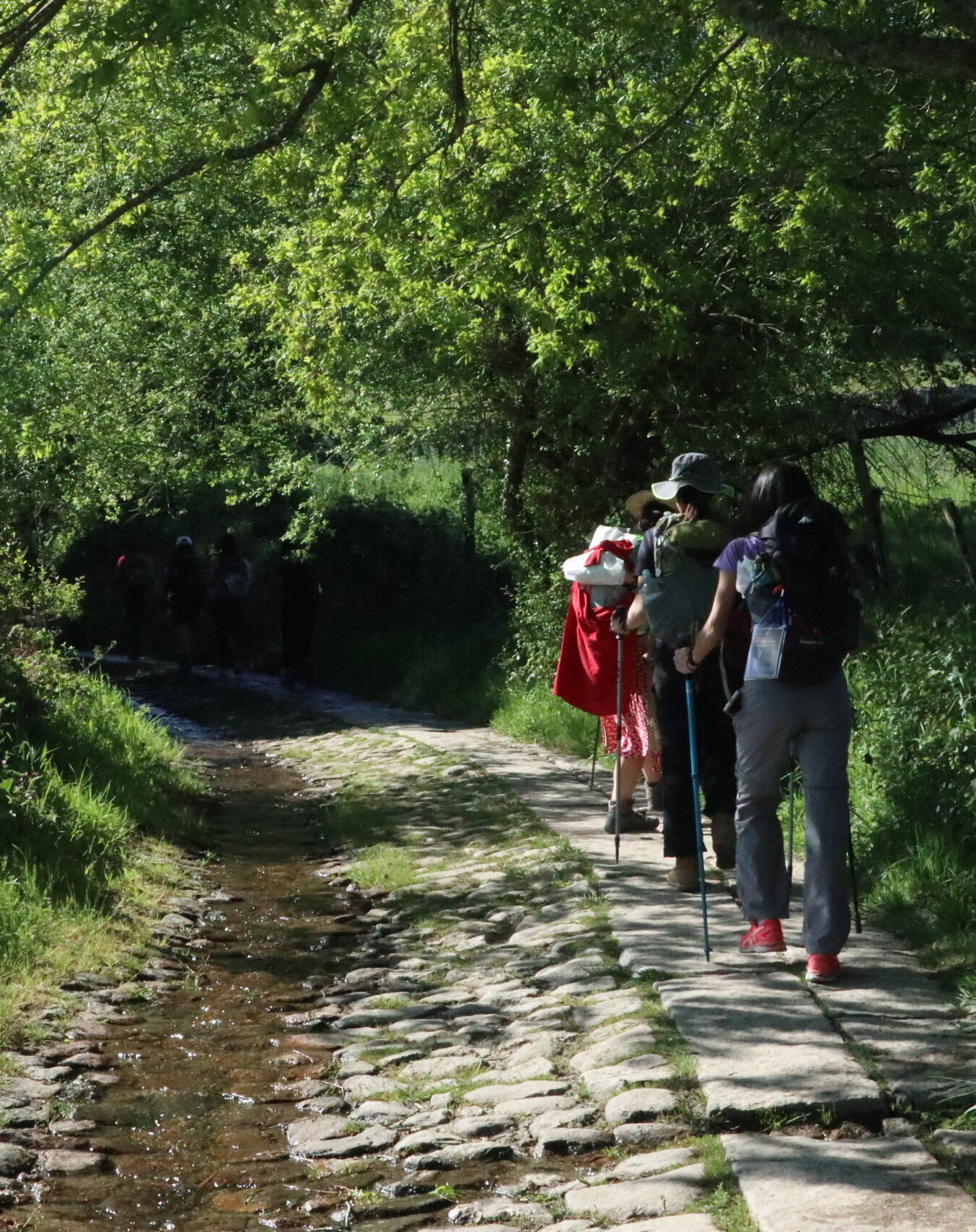 Senda gallega del Camino desde Sarria