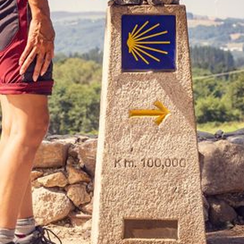 Peregrinos en los campos