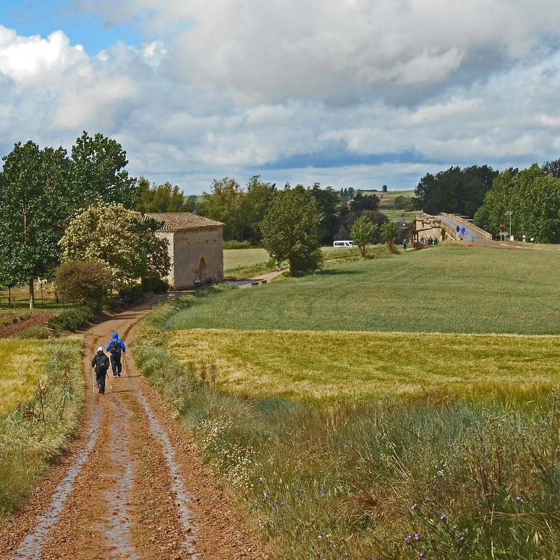 Camino Inglés desde Ferrol