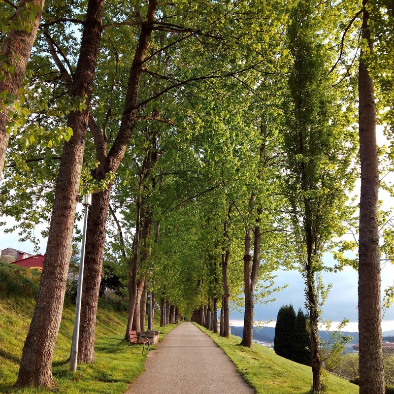 Camino Portugués premium