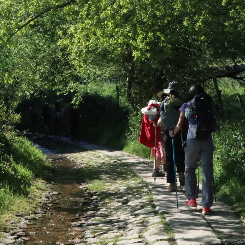 Camino from Sarria last 100km